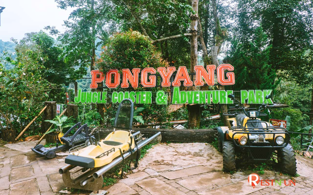 Fun zipline at Pongyang Zipline, Chiang Mai